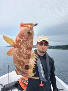 キジハタの釣果