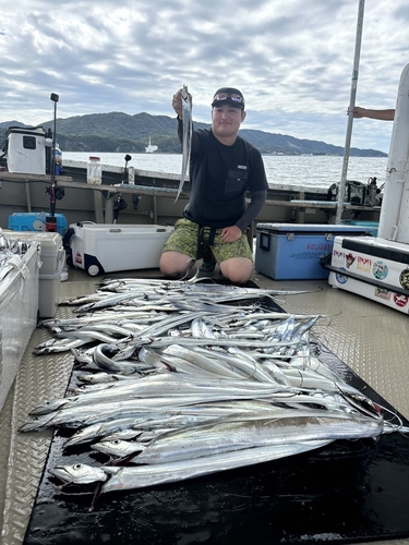 タチウオの釣果