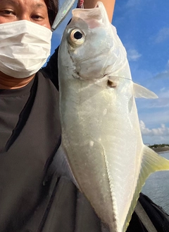 ガーラの釣果