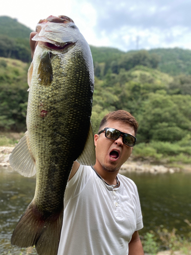 ブラックバスの釣果