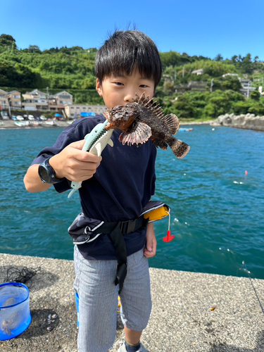 サツマカサゴの釣果