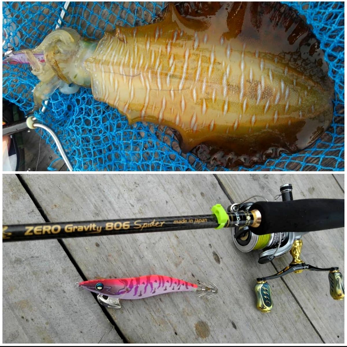 中村友和🌈【ナカムゥ🐠🎣】さんの釣果 2枚目の画像