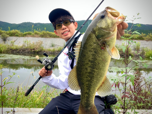 ブラックバスの釣果