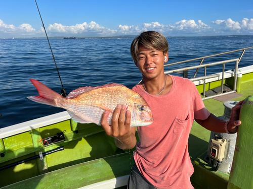 マダイの釣果