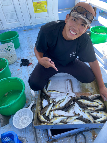 ショウサイフグの釣果