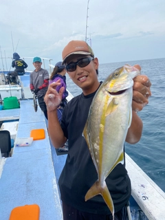 ショゴの釣果