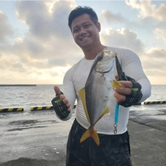 ショゴの釣果