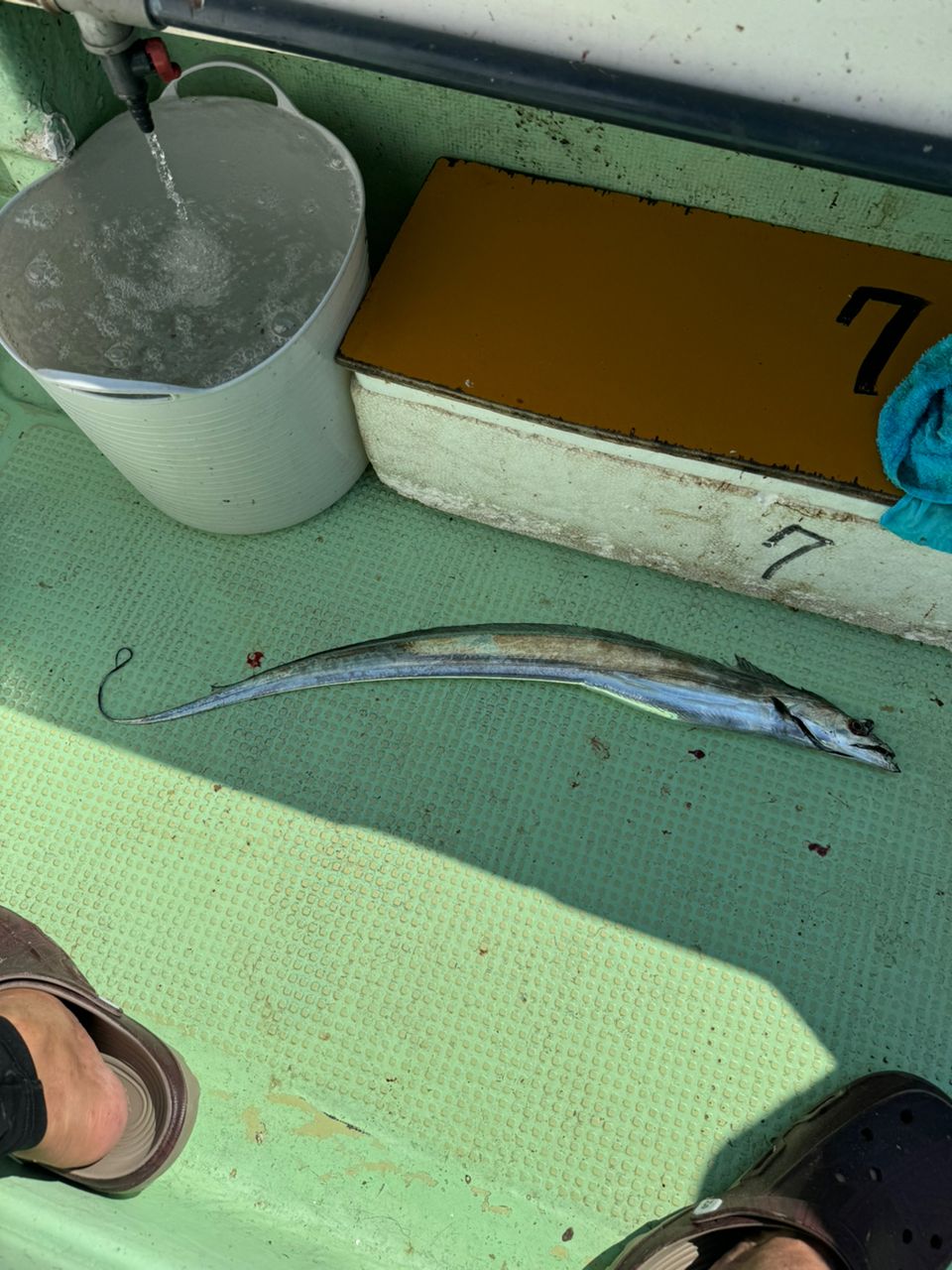 渡流さんの釣果 1枚目の画像