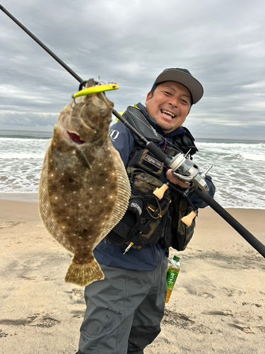 ヒラメの釣果