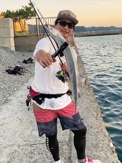 タチウオの釣果