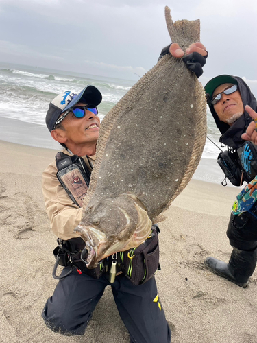 ヒラメの釣果