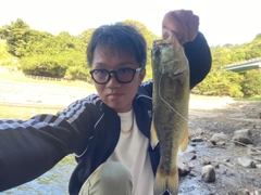 ラージマウスバスの釣果