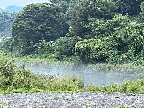 アユの釣果