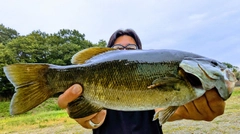 スモールマウスバスの釣果