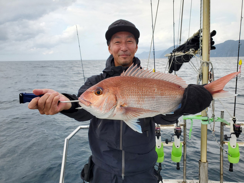 マダイの釣果