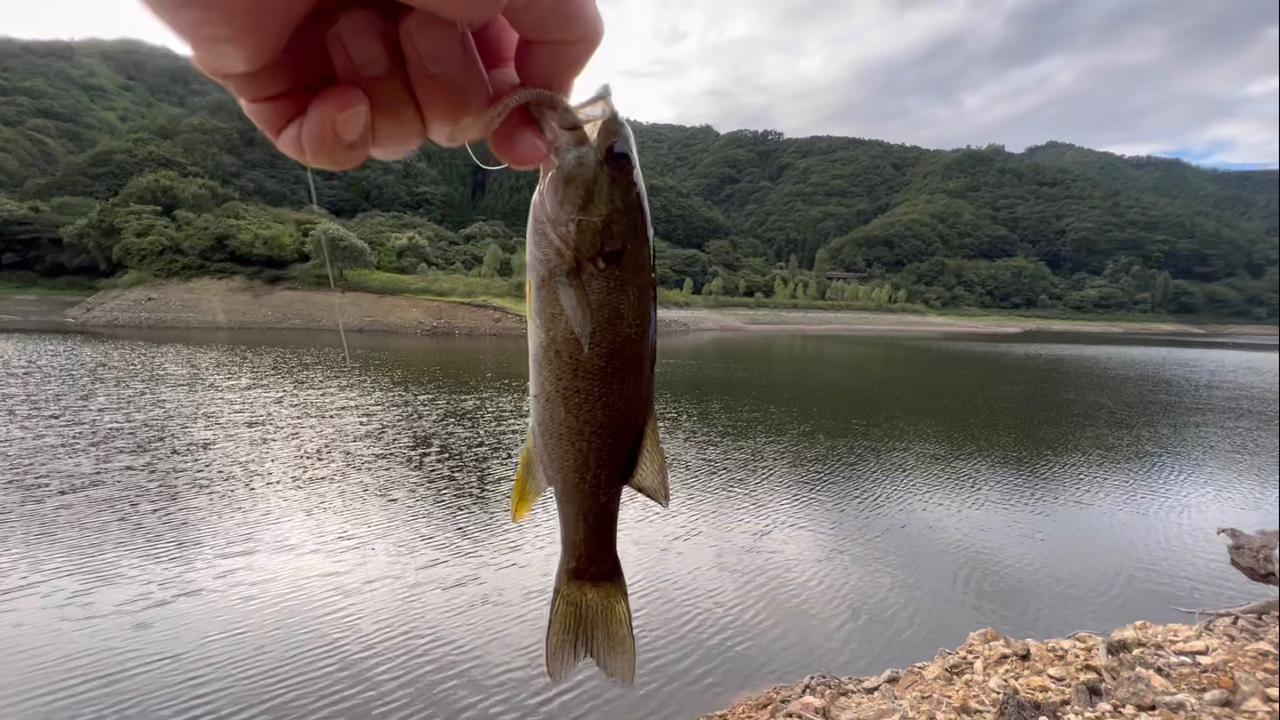 スモールマウスバス