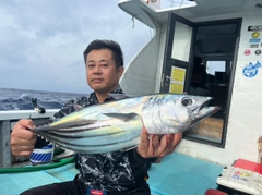 カツオの釣果