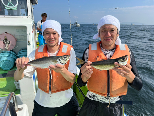 マアジの釣果