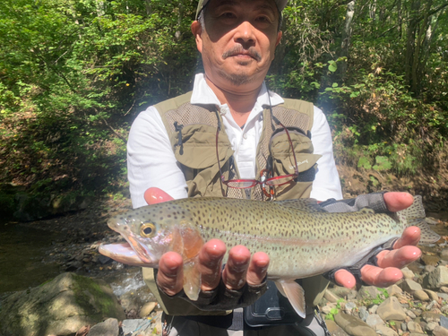 ニジマスの釣果