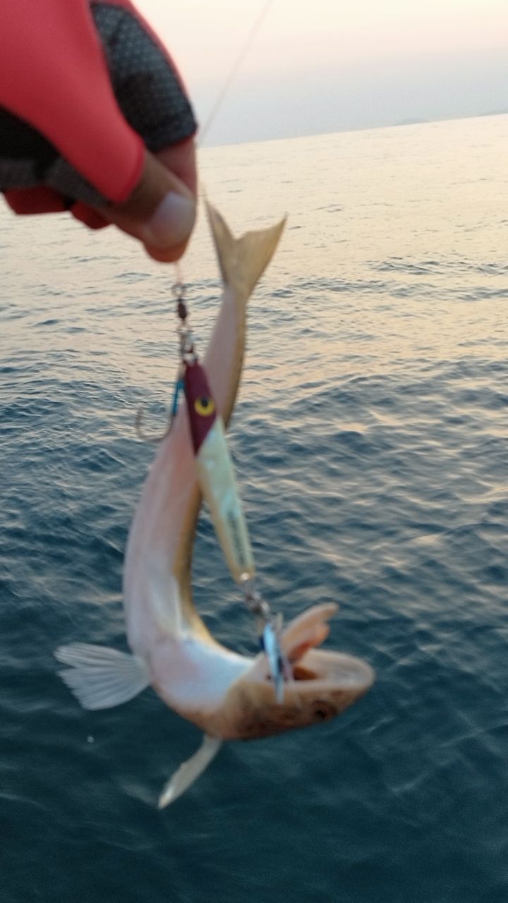 🎣みやもん🎣さんの釣果 2枚目の画像