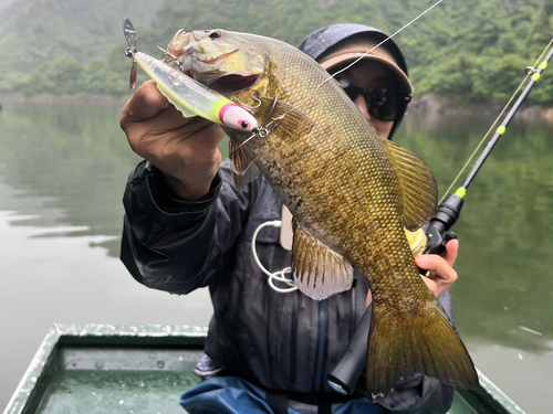 スモールマウスバスの釣果