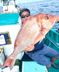 マダイの釣果