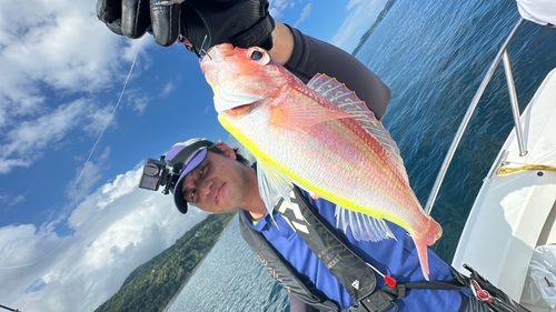 イトヨリダイの釣果