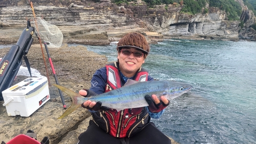 オナガグレの釣果