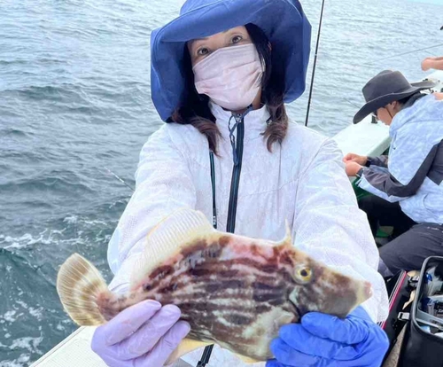 カワハギの釣果