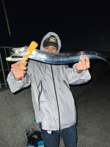 タチウオの釣果