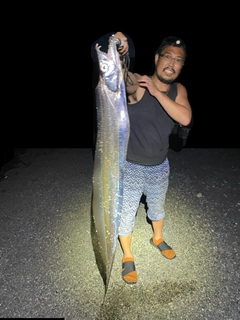 タチウオの釣果