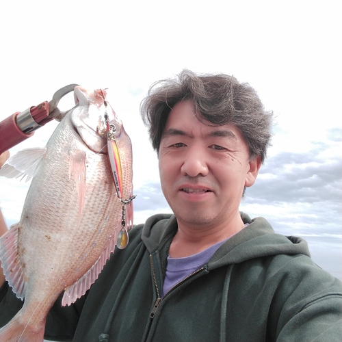 ハナダイの釣果