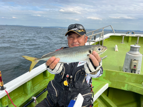 マアジの釣果