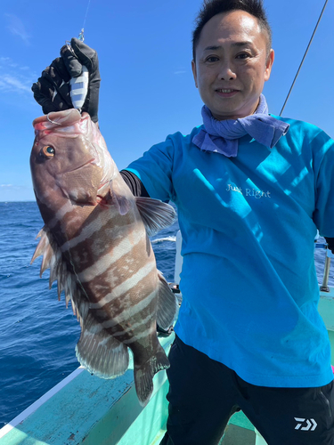 マハタの釣果