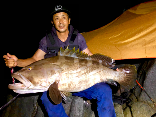 クエの釣果