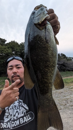 スモールマウスバスの釣果