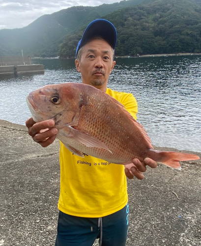 タイの釣果