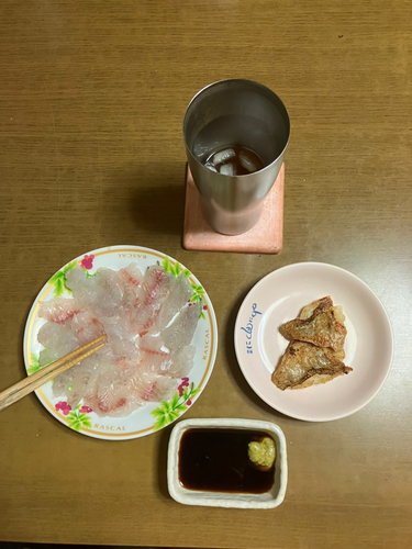 タイの釣果