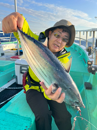 カツオの釣果