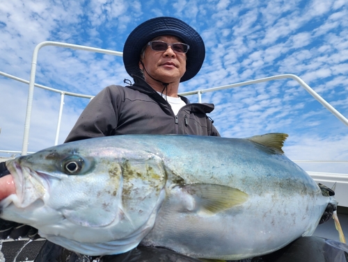 ヒラマサの釣果