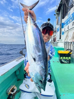 カツオの釣果