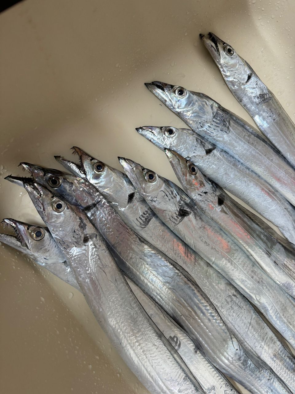 Gamakatsu がまかつ ドラゴンライズ S96Mの最安値・インプレ