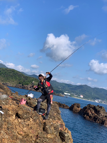 イサキの釣果