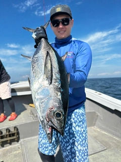 コシナガマグロの釣果