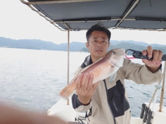 シロアマダイの釣果