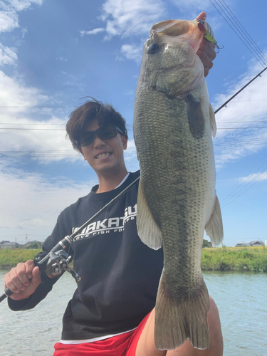 ブラックバスの釣果