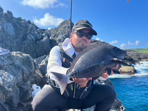 サンノジの釣果