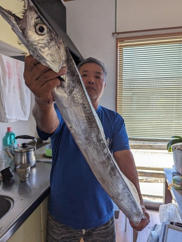 タチウオの釣果