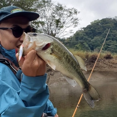 ラージマウスバスの釣果