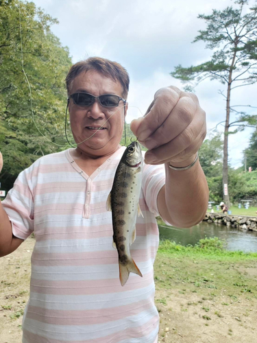 渓流茶園